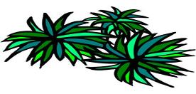 leaves,nature,plants,shrubs